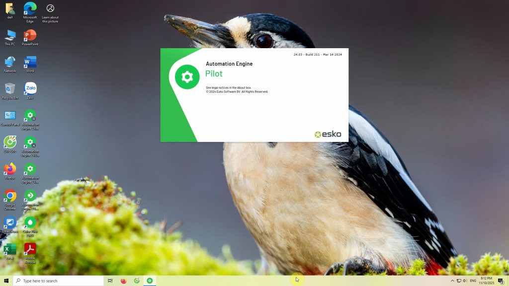 Automation-Engine-24-03-Pilot